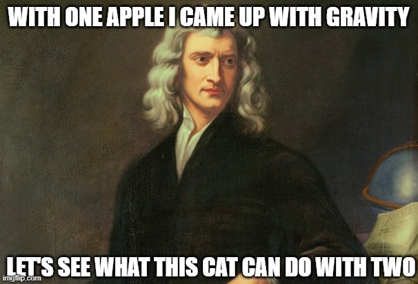 Issac Newton Once Said | WITH ONE APPLE I CAME UP WITH GRAVITY LET'S SEE WHAT THIS CAT CAN DO WITH TWO | image tagged in issac newton once said | made w/ Imgflip meme maker