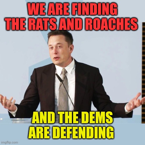 How Many Ways Can You Say, DOGE? | WE ARE FINDING THE RATS AND ROACHES; AND THE DEMS ARE DEFENDING | image tagged in elon musk,hide and seek | made w/ Imgflip meme maker