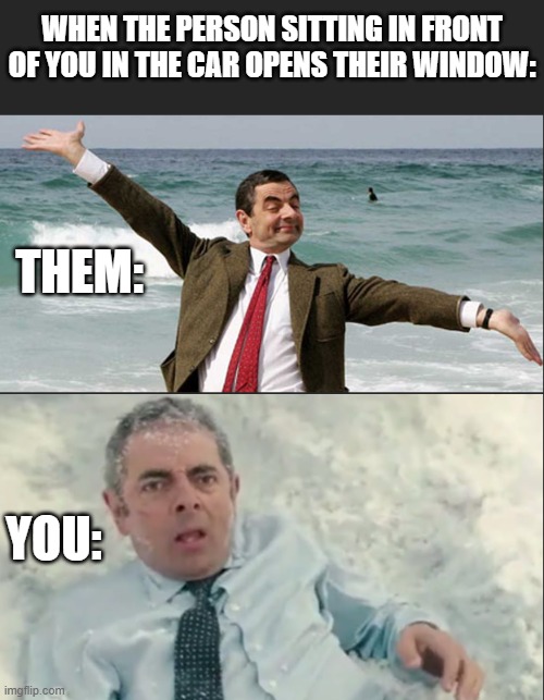 Mr. Bean | WHEN THE PERSON SITTING IN FRONT OF YOU IN THE CAR OPENS THEIR WINDOW:; THEM:; YOU: | image tagged in funny memes | made w/ Imgflip meme maker