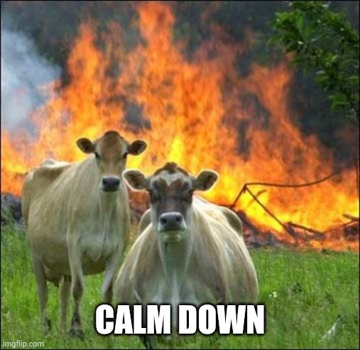 Evil Cows Meme | CALM DOWN | image tagged in memes,evil cows | made w/ Imgflip meme maker