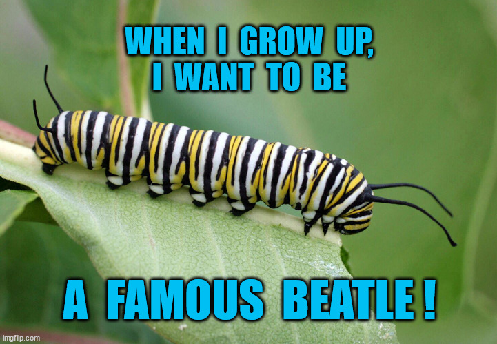 WHEN  I  GROW  UP,
I  WANT  TO  BE A  FAMOUS  BEATLE ! | made w/ Imgflip meme maker