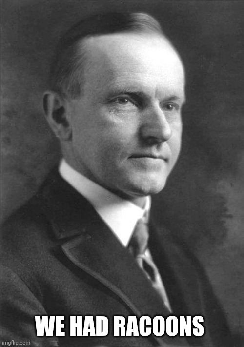 calvin coolidge original | WE HAD RACOONS | image tagged in calvin coolidge original | made w/ Imgflip meme maker