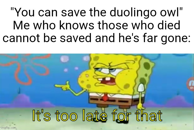 At least families he once held captive are saved and free | "You can save the duolingo owl"
Me who knows those who died cannot be saved and he's far gone:; It's too late for that | image tagged in it's too late for that,duolingo | made w/ Imgflip meme maker