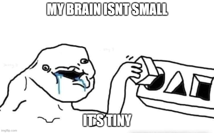 Stupid dumb drooling puzzle | MY BRAIN ISNT SMALL; IT'S TINY | image tagged in stupid dumb drooling puzzle | made w/ Imgflip meme maker