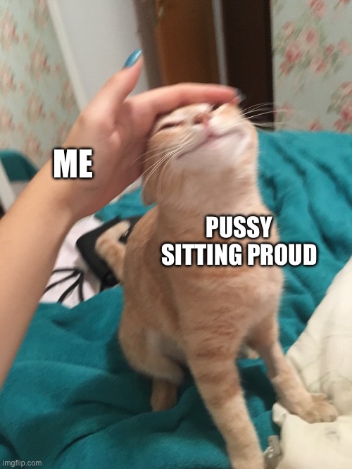 cat pat | ME PUSSY SITTING PROUD | image tagged in cat pat | made w/ Imgflip meme maker