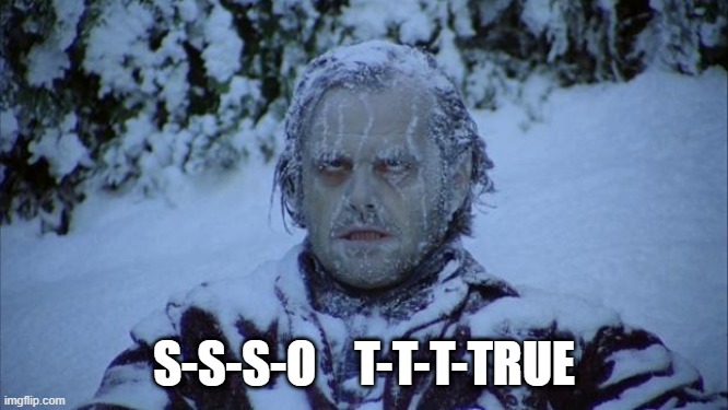 Cold | S-S-S-O    T-T-T-TRUE | image tagged in cold | made w/ Imgflip meme maker