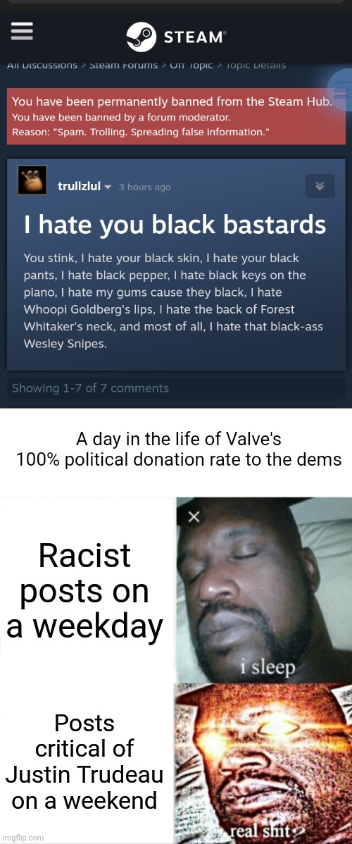 A day in the life of Valve's 100% political donation rate to the dems; Racist posts on a weekday; Posts critical of Justin Trudeau on a weekend | image tagged in blank white template,memes,sleeping shaq | made w/ Imgflip meme maker