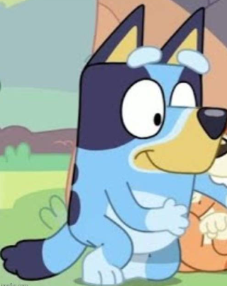 Yep, Bluey's face says it all Blank Meme Template