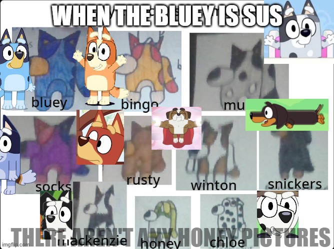 when the bluey is sus | WHEN THE BLUEY IS SUS; THERE AREN'T ANY HONEY PICTURES | image tagged in among us bluey characters | made w/ Imgflip meme maker