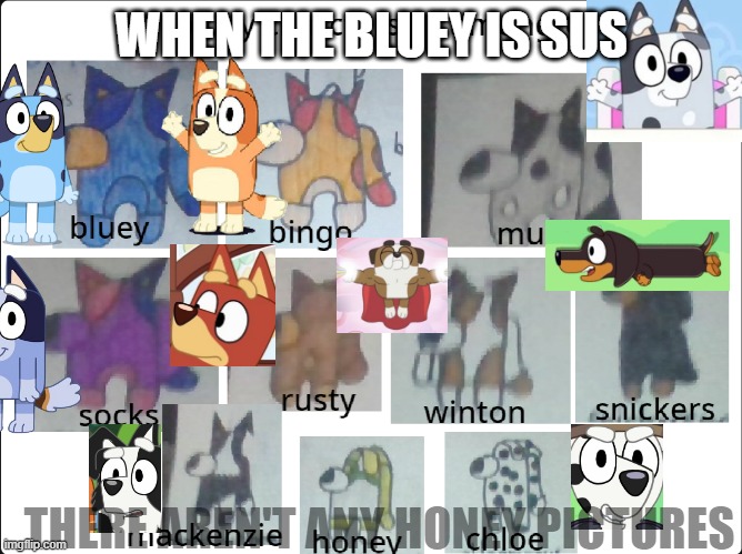 when the bluey is sus | WHEN THE BLUEY IS SUS; THERE AREN'T ANY HONEY PICTURES | image tagged in among us bluey characters | made w/ Imgflip meme maker