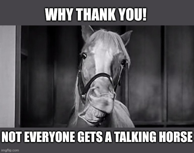 Mr Ed | WHY THANK YOU! NOT EVERYONE GETS A TALKING HORSE | image tagged in mr ed | made w/ Imgflip meme maker