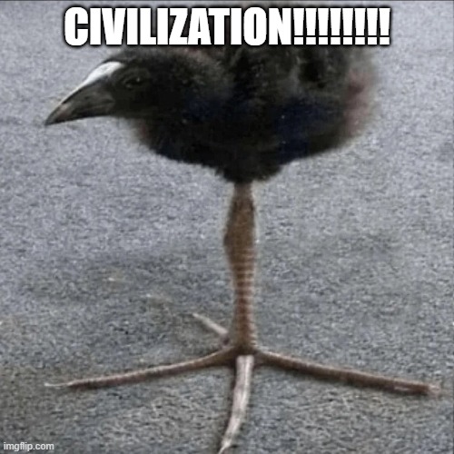 DAAAMMMNNNNNNNN!!!! | CIVILIZATION!!!!!!!! | image tagged in damn,bird | made w/ Imgflip meme maker