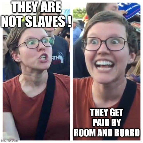 Hypocrite liberal | THEY ARE NOT SLAVES ! THEY GET PAID BY ROOM AND BOARD | image tagged in hypocrite liberal | made w/ Imgflip meme maker