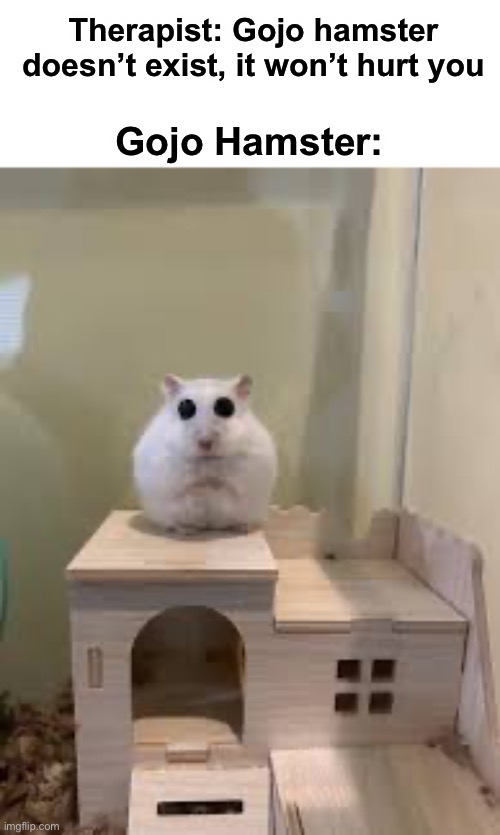 Gojo Hampter | Therapist: Gojo hamster doesn’t exist, it won’t hurt you; Gojo Hamster: | image tagged in hamster,anime,memes,funny | made w/ Imgflip meme maker