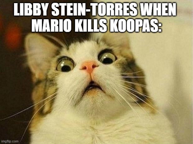 Libby loves turtles but Mario doesn't | LIBBY STEIN-TORRES WHEN 
MARIO KILLS KOOPAS: | image tagged in memes,scared cat | made w/ Imgflip meme maker