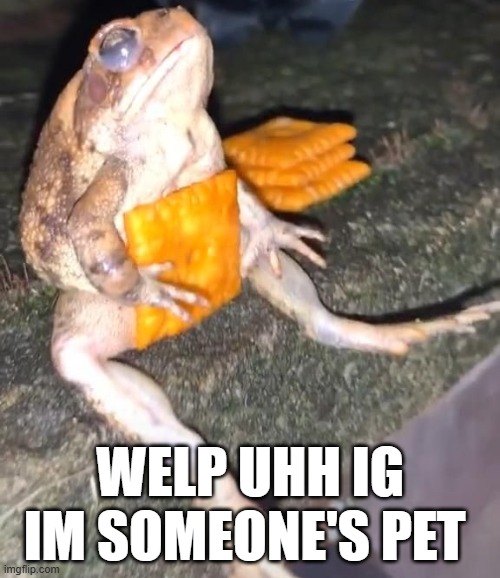 cheez it | WELP UHH IG IM SOMEONE'S PET | image tagged in cheez-it frog | made w/ Imgflip meme maker