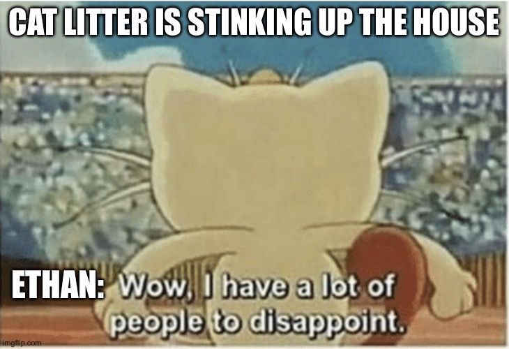 Cat litter meme | CAT LITTER IS STINKING UP THE HOUSE; ETHAN: | image tagged in wow i have a lot of people to disappoint | made w/ Imgflip meme maker