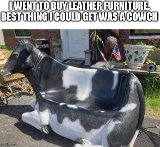 I WENT TO BUY LEATHER FURNITURE. BEST THING I COULD GET WAS A COWCH | image tagged in eye roll,dad joke | made w/ Imgflip meme maker