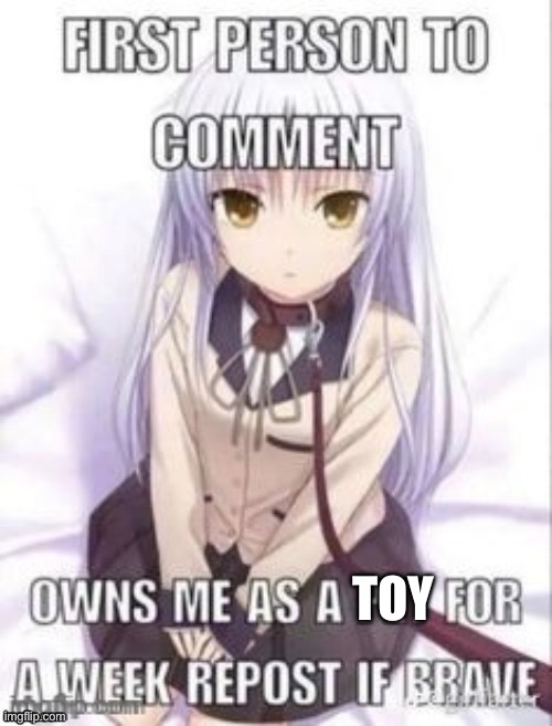 HEHEHEHEHEEEE | TOY | image tagged in first person to comment owns as a pet for a week | made w/ Imgflip meme maker