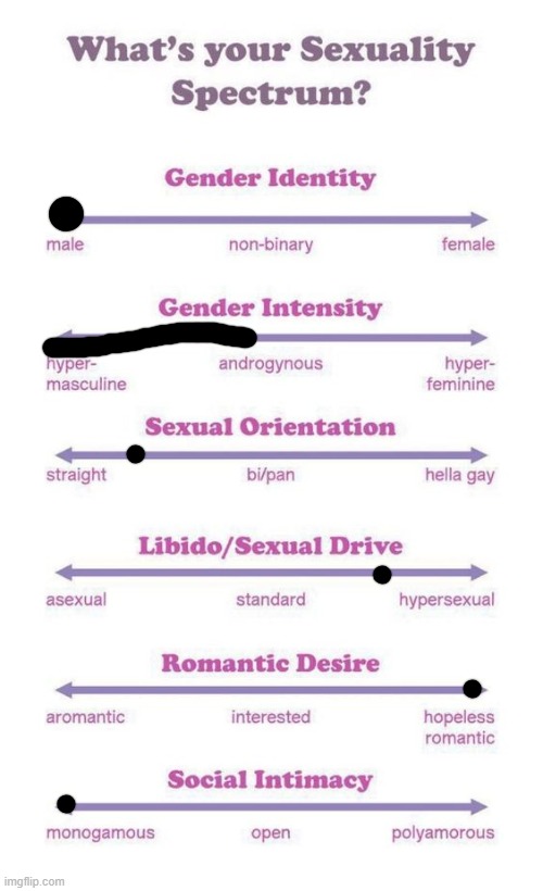 ts so booty | image tagged in what's your sexuality spectrum,neko | made w/ Imgflip meme maker