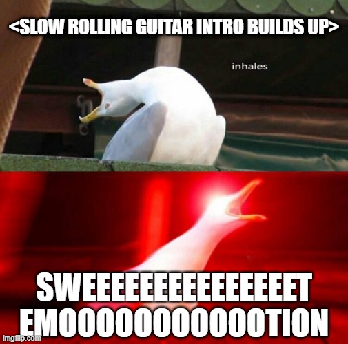 Aerosmith Sang | <SLOW ROLLING GUITAR INTRO BUILDS UP>; SWEEEEEEEEEEEEEEET EMOOOOOOOOOOOTION | image tagged in inhaling seagull | made w/ Imgflip meme maker