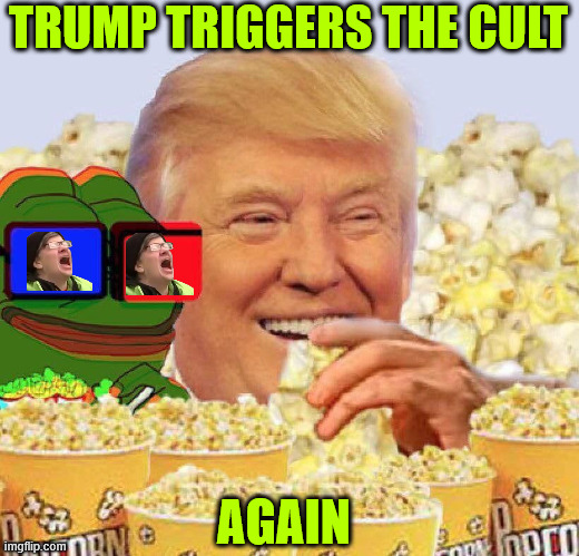 It's good to be King... Using their words against them... | TRUMP TRIGGERS THE CULT; AGAIN | image tagged in trump,trolling,the lib trolls | made w/ Imgflip meme maker