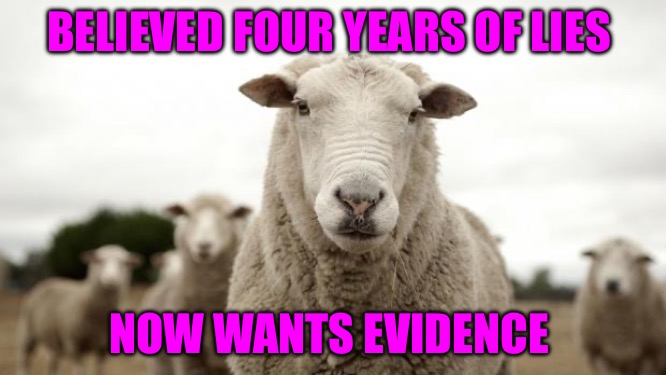 Lying Eyes | BELIEVED FOUR YEARS OF LIES; NOW WANTS EVIDENCE | image tagged in sheep,sheeple,evidence,lies,political meme,political humor | made w/ Imgflip meme maker