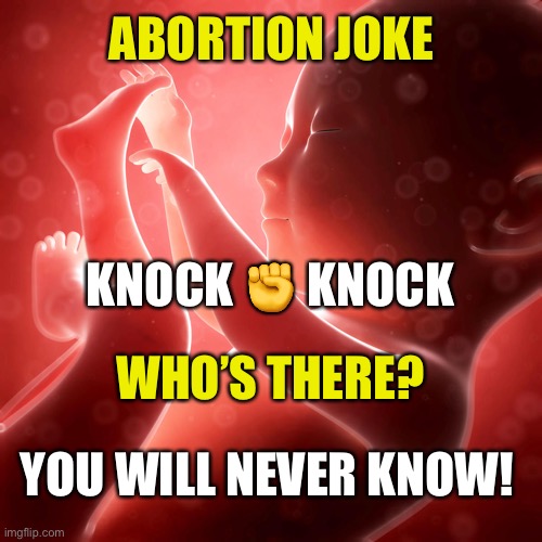 When the most dangerous place for a baby is in the womb. | ABORTION JOKE; KNOCK ✊ KNOCK; WHO’S THERE? YOU WILL NEVER KNOW! | image tagged in baby fetus | made w/ Imgflip meme maker