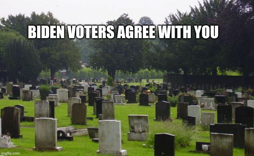 Graveyard | BIDEN VOTERS AGREE WITH YOU | image tagged in graveyard | made w/ Imgflip meme maker