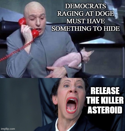 Dr Evil and Frau | DEMOCRATS RAGING AT DOGE MUST HAVE SOMETHING TO HIDE; RELEASE THE KILLER ASTEROID | image tagged in dr evil and frau | made w/ Imgflip meme maker