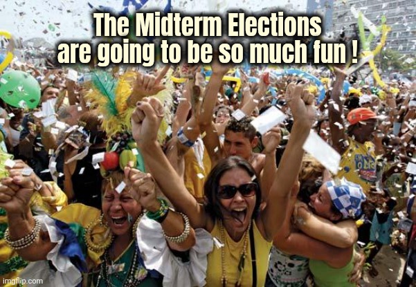 celebrate | The Midterm Elections are going to be so much fun ! | image tagged in celebrate | made w/ Imgflip meme maker