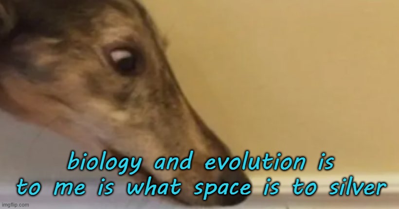 long nose dog | biology and evolution is to me is what space is to silver | image tagged in long nose dog | made w/ Imgflip meme maker