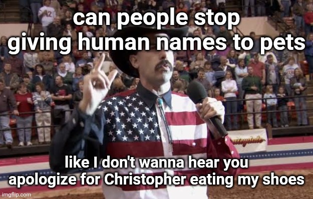 Borat in America flag shirt | can people stop giving human names to pets; like I don't wanna hear you apologize for Christopher eating my shoes | image tagged in borat in america flag shirt | made w/ Imgflip meme maker