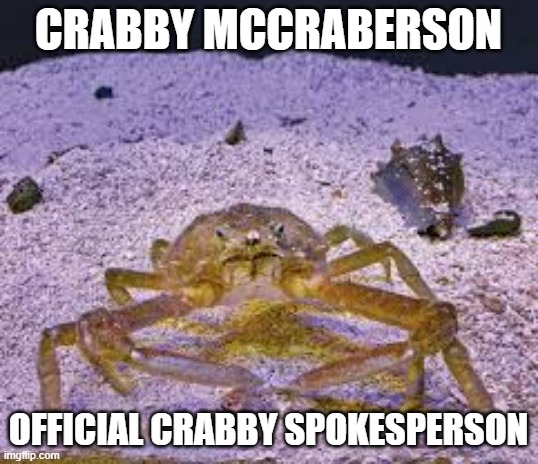 Crabby | CRABBY MCCRABERSON; OFFICIAL CRABBY SPOKESPERSON | image tagged in attitude | made w/ Imgflip meme maker