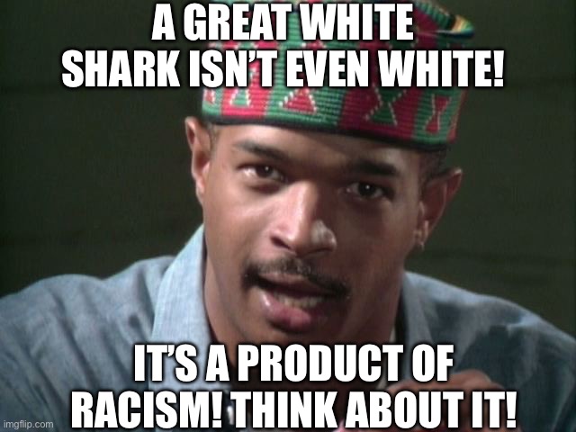 Great Whites | A GREAT WHITE SHARK ISN’T EVEN WHITE! IT’S A PRODUCT OF RACISM! THINK ABOUT IT! | image tagged in racist,racism,passive aggressive racism,race,black lives matter,black people | made w/ Imgflip meme maker