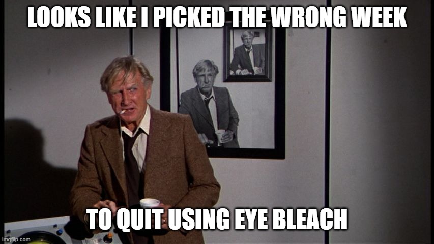 Lloyd Bridges Airplane | LOOKS LIKE I PICKED THE WRONG WEEK TO QUIT USING EYE BLEACH | image tagged in lloyd bridges airplane | made w/ Imgflip meme maker