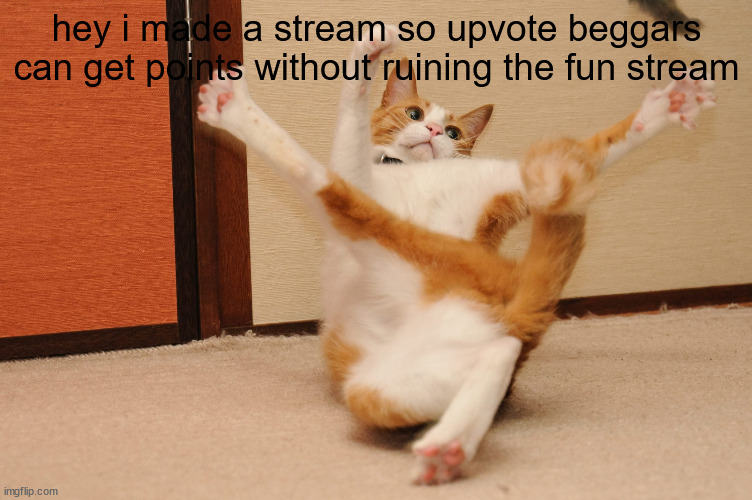 link in comments | hey i made a stream so upvote beggars can get points without ruining the fun stream | image tagged in twisted cat,pls | made w/ Imgflip meme maker