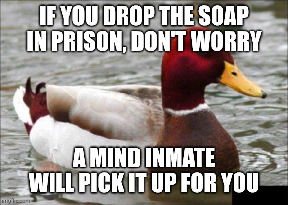 Malicious Advice Mallard | IF YOU DROP THE SOAP IN PRISON, DON'T WORRY; A MIND INMATE WILL PICK IT UP FOR YOU | image tagged in memes,malicious advice mallard | made w/ Imgflip meme maker