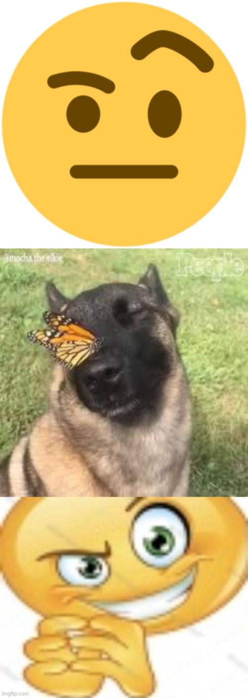 image tagged in face_with_raised_eyebrow,butterfly dog,devious ahh emoji | made w/ Imgflip meme maker