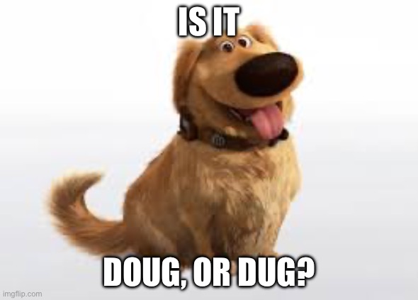 Is it Dug, or Doug | IS IT; DOUG, OR DUG? | image tagged in dug | made w/ Imgflip meme maker