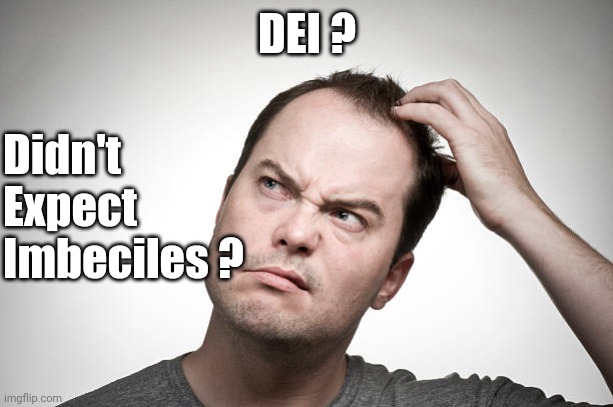 confused | DEI ? Didn't
Expect
Imbeciles ? | image tagged in confused | made w/ Imgflip meme maker