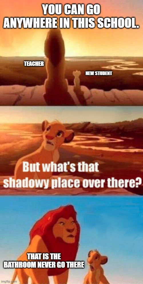 Simba Shadowy Place | YOU CAN GO ANYWHERE IN THIS SCHOOL. TEACHER; NEW STUDENT; THAT IS THE BATHROOM NEVER GO THERE | image tagged in memes,simba shadowy place | made w/ Imgflip meme maker