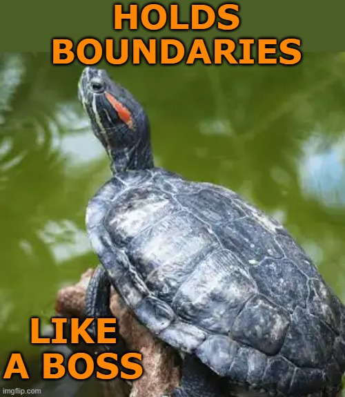 Gotta respect a turtle (or a tortoise) | HOLDS
BOUNDARIES; LIKE A BOSS | image tagged in red eared slider,turtle,reptile,wisdom,tortoise | made w/ Imgflip meme maker