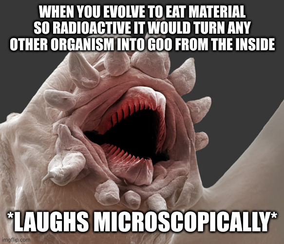 9kwfka.jpg