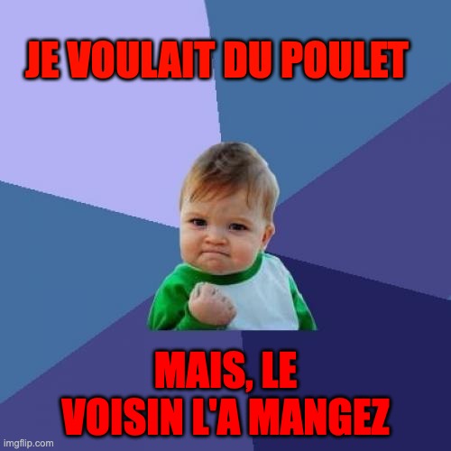 lorsque ton enfant veut du poulet | JE VOULAIT DU POULET; MAIS, LE VOISIN L'A MANGEZ | image tagged in memes,success kid | made w/ Imgflip meme maker