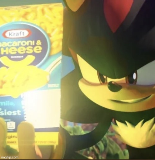 Shadow the hedgehog macaroni | image tagged in shadow the hedgehog macaroni | made w/ Imgflip meme maker