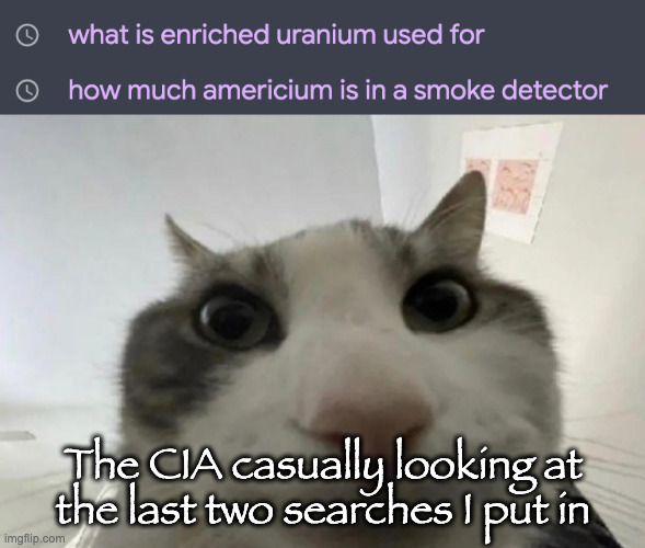 The CIA casually looking at the last two searches I put in | image tagged in cat looks inside | made w/ Imgflip meme maker