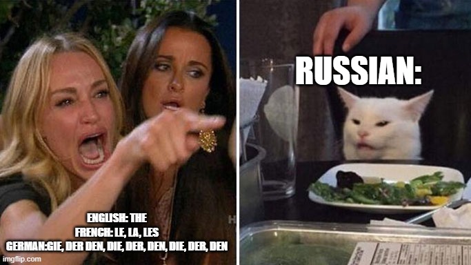 Angry lady cat | RUSSIAN:; ENGLISH: THE
FRENCH: LE, LA, LES
GERMAN:GIE, DER DEN, DIE, DER, DEN, DIE, DER, DEN | image tagged in angry lady cat | made w/ Imgflip meme maker