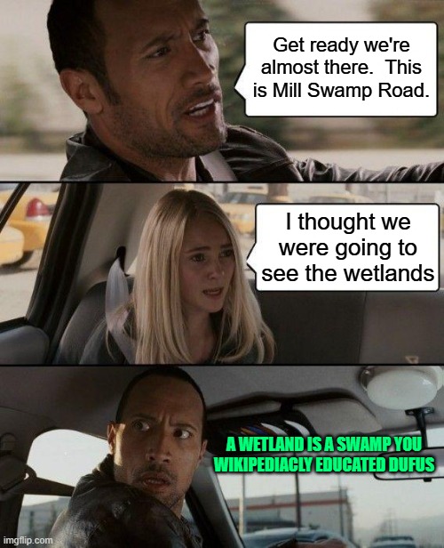 The Rock Driving Meme | Get ready we're almost there.  This is Mill Swamp Road. I thought we were going to see the wetlands; A WETLAND IS A SWAMP YOU WIKIPEDIACLY EDUCATED DUFUS | image tagged in memes,the rock driving | made w/ Imgflip meme maker