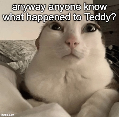 goober | anyway anyone know what happened to Teddy? | image tagged in goober | made w/ Imgflip meme maker